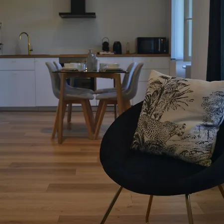 Appartement Le Bompard 50 M2 Art Déco Plein Centre Avec Jardin Rodez