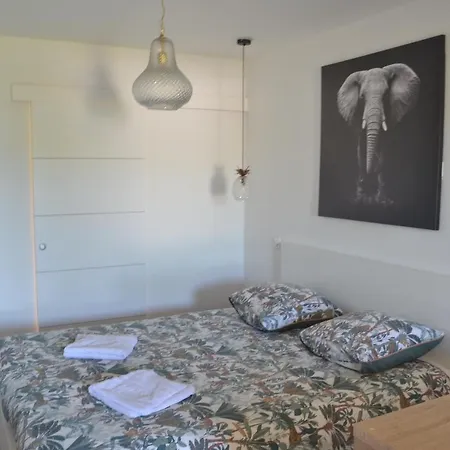 Le Bompard 50 M2 Art Déco Plein Centre Avec Jardin *