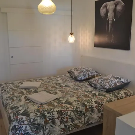 Le Bompard 50 M2 Art Déco Plein Centre Avec Jardin Appartement Rodez