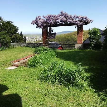 Le Bompard 50 M2 Art Déco Plein Centre Avec Jardin Rodez