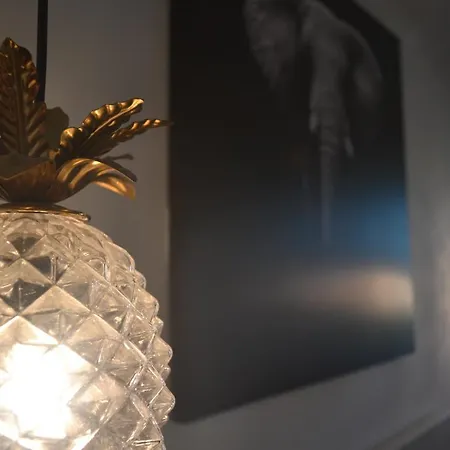 Apartmán Le Bompard 50 M2 Art Deco Plein Centre Avec Jardin *