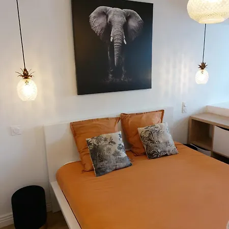 Le Bompard 50 M2 Art Deco Plein Centre Avec Jardin Апартаменты Роде